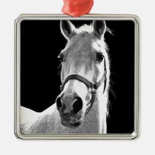 Close-up Black White Horse in Night Metal Tree Decoration