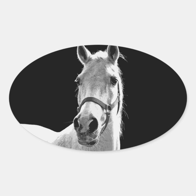 Close-up Black White Horse in Night Oval Sticker (Front)