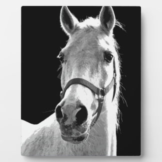 Close-up Black White Horse in Night Plaque