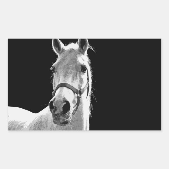 Close-up Black White Horse in Night Rectangular Sticker (Front)