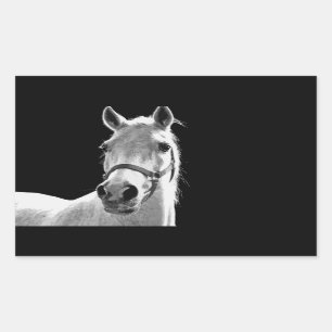 Close-up Black White Horse in Night Rectangular Sticker