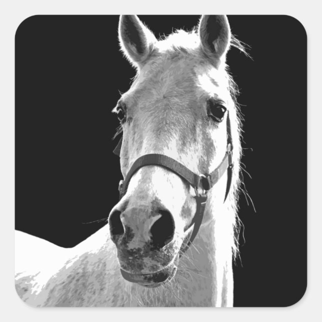 Close-up Black White Horse in Night Square Sticker (Front)