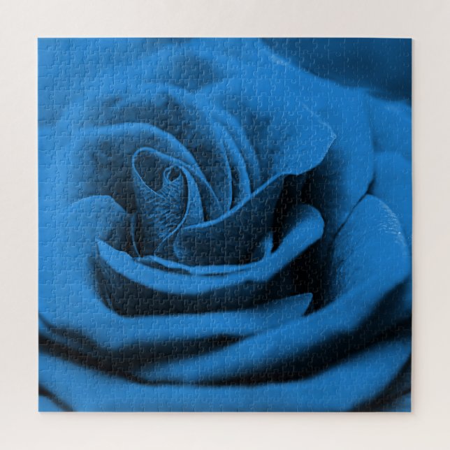 Close-up blue red rose, macro beauty. jigsaw puzzle (Vertical)