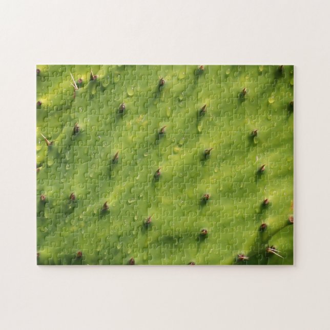 Close-up Cactus (extremely difficult) Jigsaw Puzzle (Horizontal)