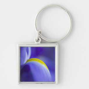 Close-up detail of a Blue Flag iris. Key Ring