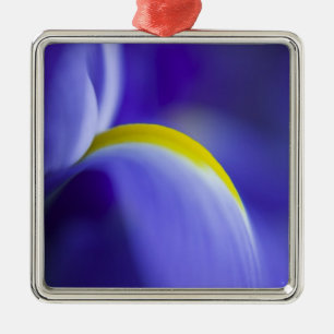 Close-up detail of a Blue Flag iris. Metal Tree Decoration