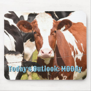 Close-up Face of Red, White Holstein Dairy Cow Mouse Mat