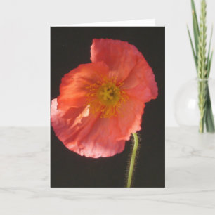 Close Up Flower Blank Greeting Card