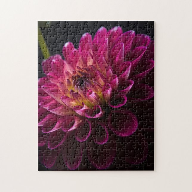 Close-up flowers series: Dahlia Jigsaw Puzzle (Vertical)