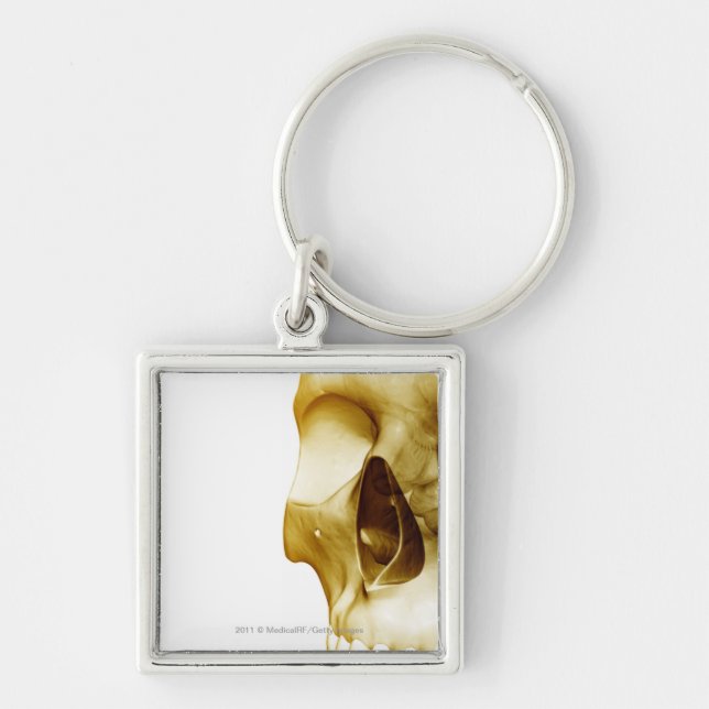 Close up frontal view of the brain inside a skull key ring (Front)