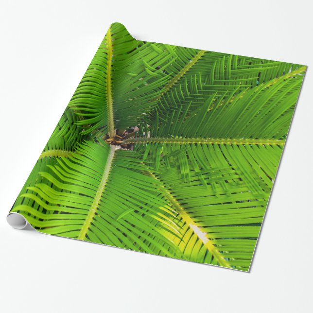 Close-up Green Palm Tree Leaves Wrapping Paper (Unrolled)