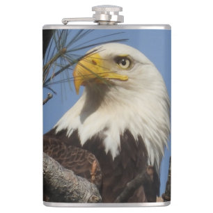 Close Up Head Shot of Bald Eagle Hip Flask