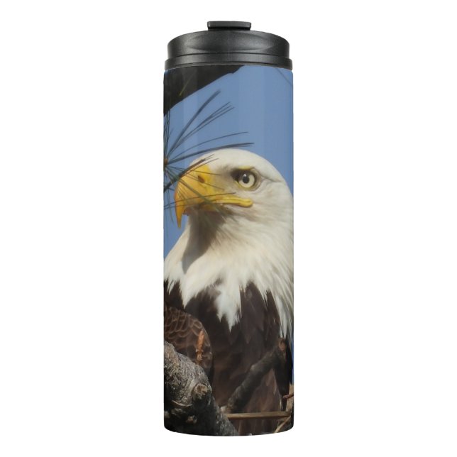 Close Up Head Shot of Bald Eagle Thermal Tumbler (Front)