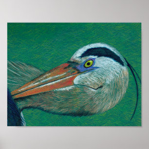 Close up Heron Poster