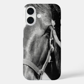 Close-up Horse Eye iPhone 16 Case