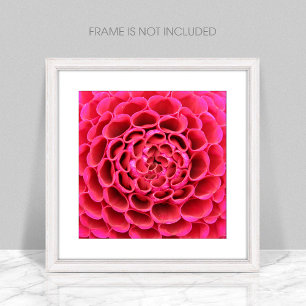 Close-Up Hot Pink Flower Photo Enlargement Print