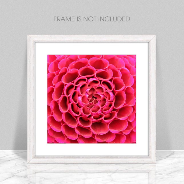 Close-Up Hot Pink Flower Poster (Creator Uploaded)