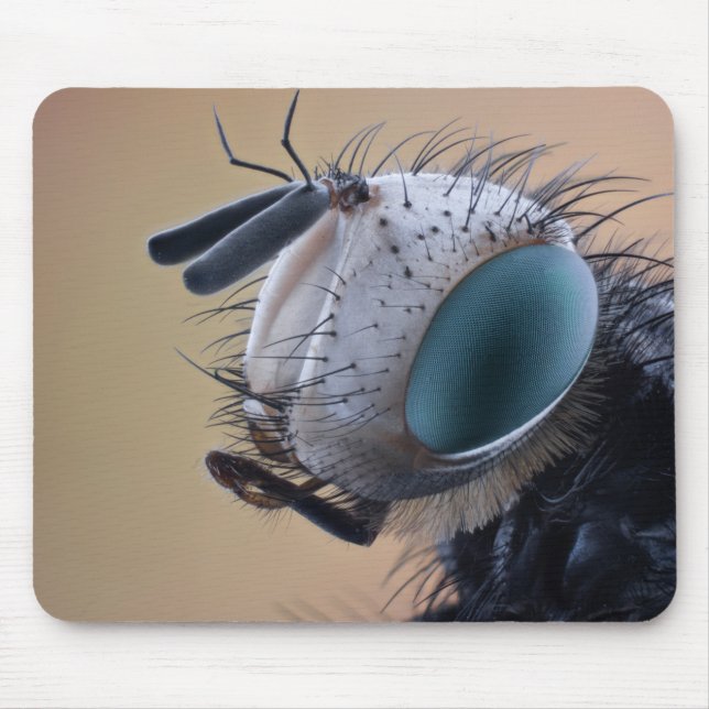 Close-up Insect Bug Head Mouse Mat (Front)
