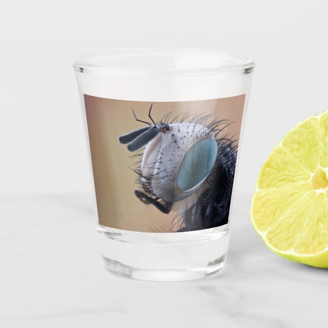 Close-up Insect Bug Head Shot Glass (Front)