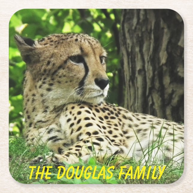 Close-up Leopard Square Paper Coaster (Front)