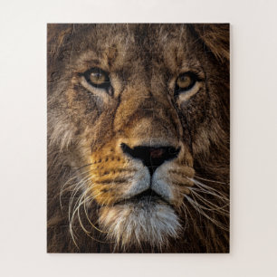 Close Up Lion, Adult Male Jigsaw Puzzle