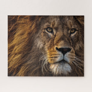 Close Up Lion, Adult Male Jigsaw Puzzle