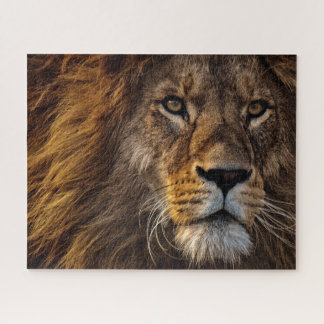 Close Up Lion, Adult Male Jigsaw Puzzle