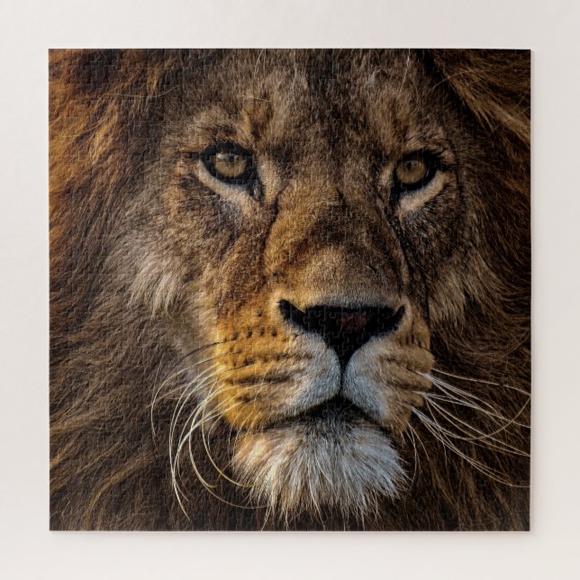 Close Up Lion, Adult Male Jigsaw Puzzle (Vertical)