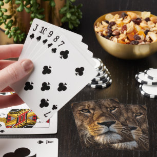 Close Up Lion, Adult Male Playing Cards