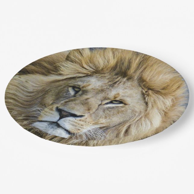 Close Up Lion's Head Paper Plate (Angled)