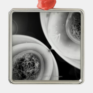 Close up look at cell division metal tree decoration