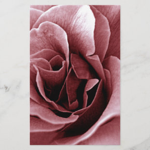 Close Up Monochrome Rose Flower Stationery