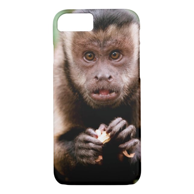 Close-up of a black-capped capuchin monkey Case-Mate iPhone case (Back)