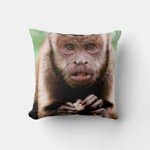 Close-up of a black-capped capuchin monkey cushion