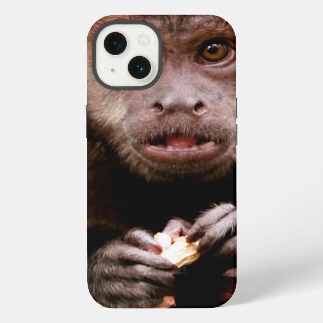Close-up of a black-capped capuchin monkey iPhone case (Back)