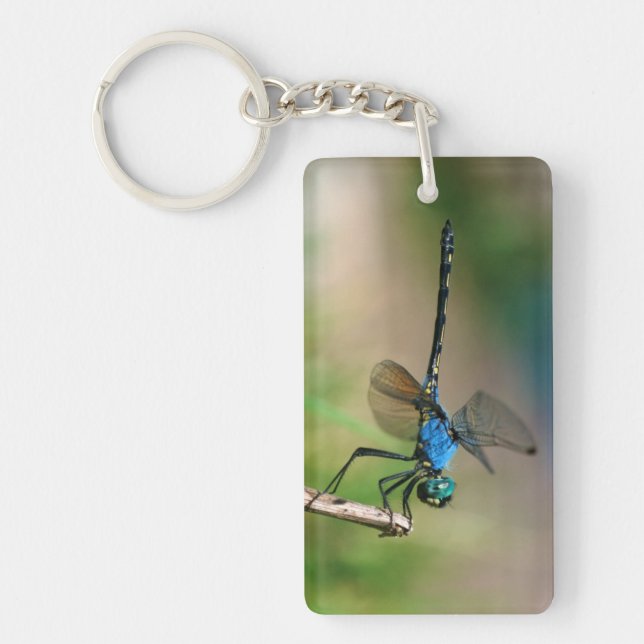 Close-Up Of A Blue Dragon Fly On A Branch Key Ring (Front)