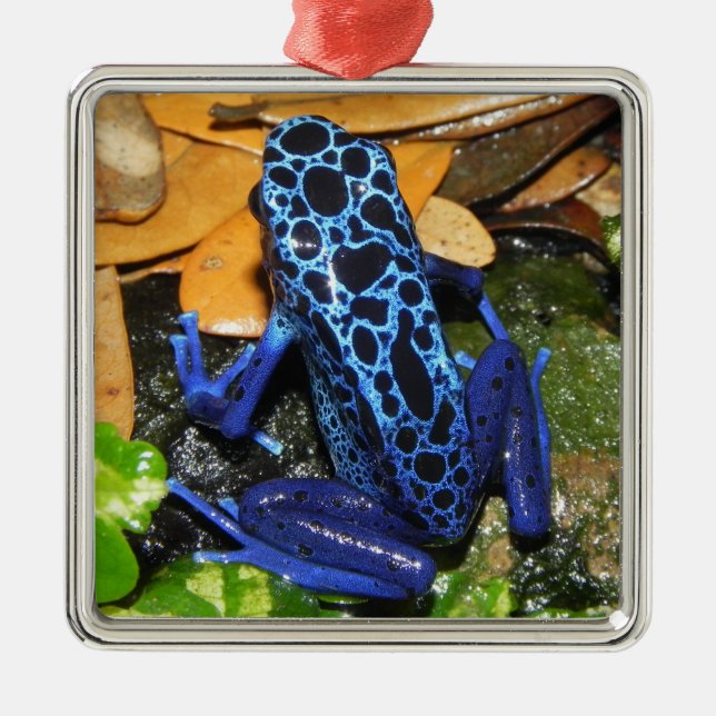 Close up of a Blue Poision Dart Frog Metal Tree Decoration (Front)