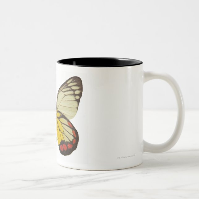 Close-up of a butterfly 3 Two-Tone coffee mug (Right)