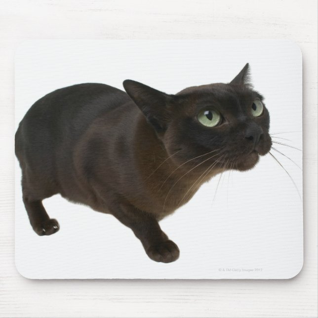 Close-up of a cat 2 mouse mat (Front)