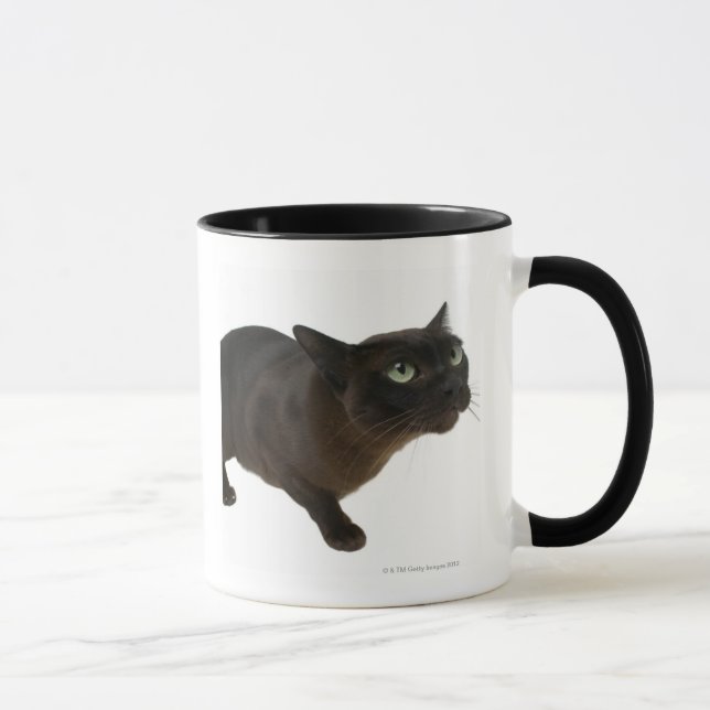Close-up of a cat 2 mug (Right)