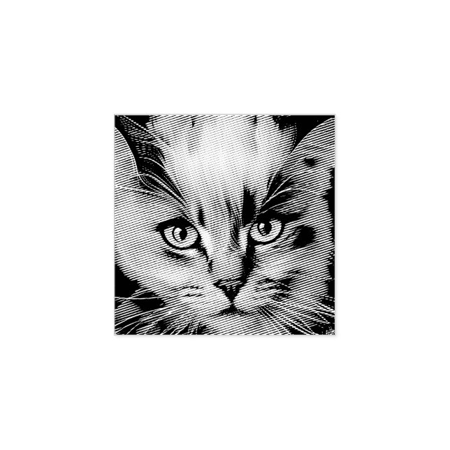 Close up of a Colourful Siamese Kitten Rubber Stamp (Imprint)