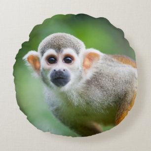 Close-up of a Common Squirrel Monkey Round Cushion