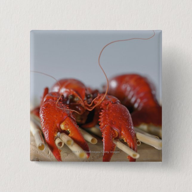 Close-up of a crab on sticks 15 cm square badge (Front)