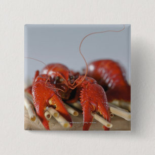 Close-up of a crab on sticks 15 cm square badge