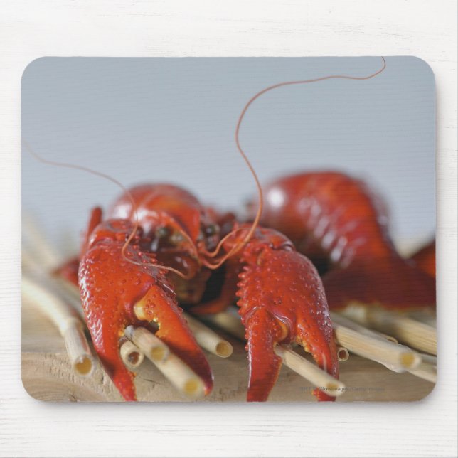 Close-up of a crab on sticks mouse mat (Front)