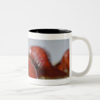 Close-up of a crab on sticks Two-Tone coffee mug