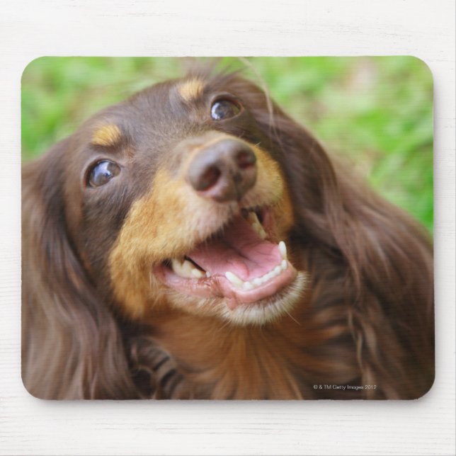 Close-up of a Dachshund dog Mouse Mat (Front)