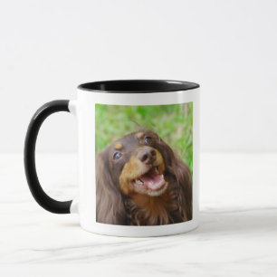 Close-up of a Dachshund dog Mug