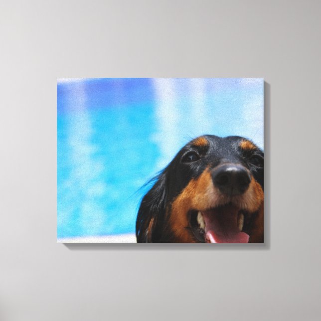 Close-up of a Dachshund dog panting Canvas Print (Front)