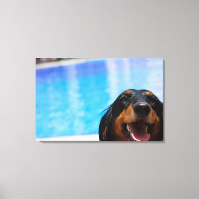 Close-up of a Dachshund dog panting Canvas Print (Front)